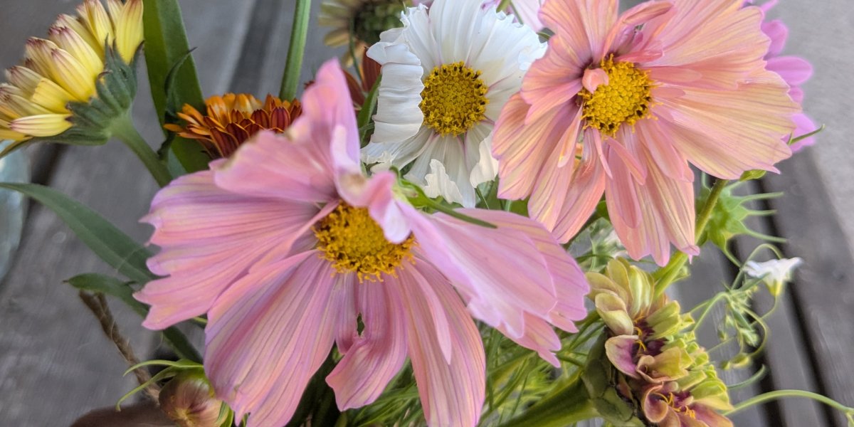 Affordable DIY Wedding Flowers