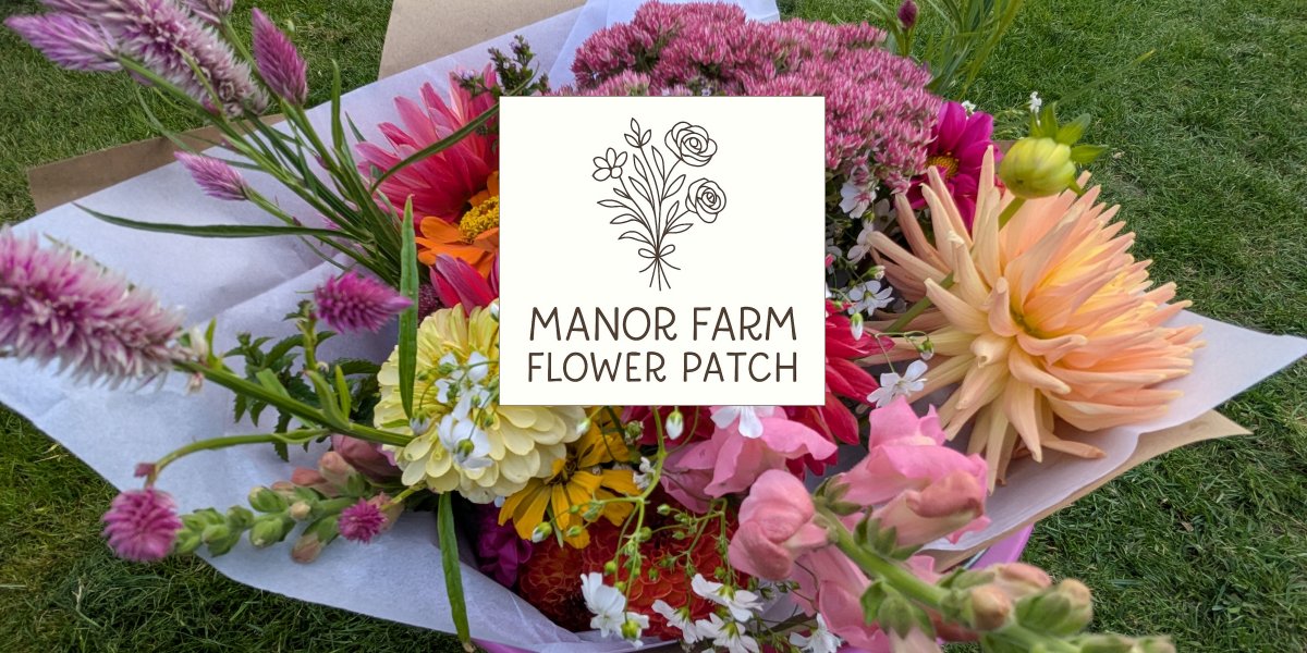 Manor Farm Flower Patch, UK cut flowers