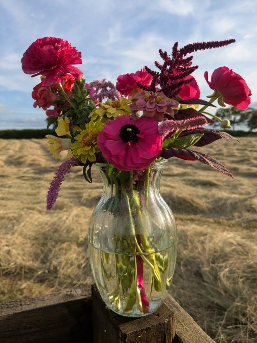 Pick your own flowers event