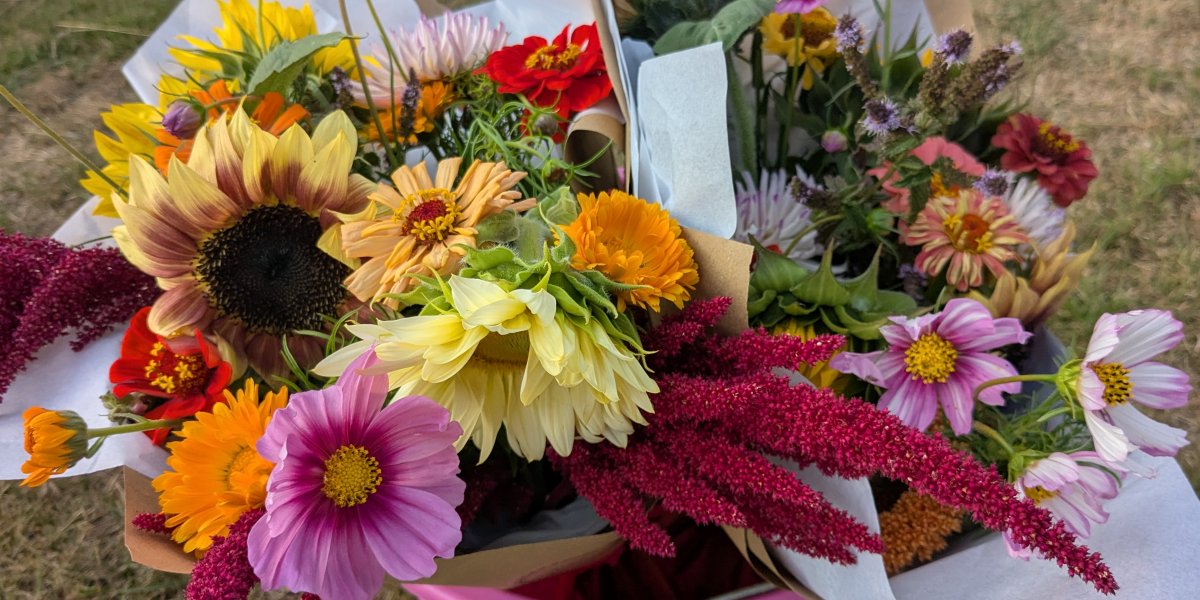 Pick Your Own Flowers