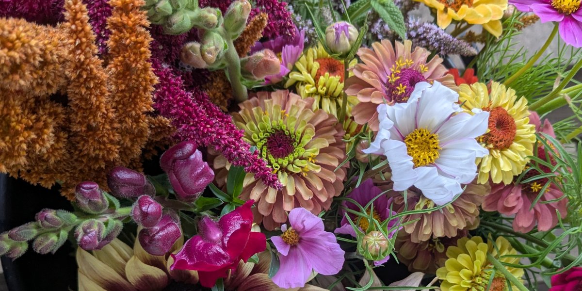 Wholesale Flowers for Florists