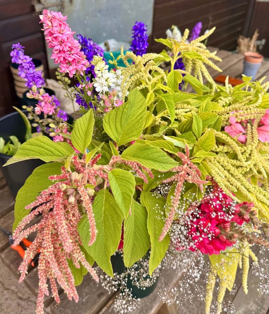Amaranth Coral Fountain and Emerald Tassels