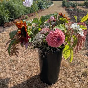 PYO Flowers - Sunday 9th August